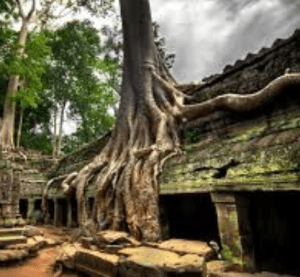 15-09-2014 3-26-05 PM